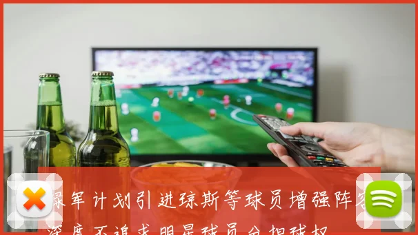 绿军计划引进琼斯等球员增强阵容深度不追求明星球员分担球权